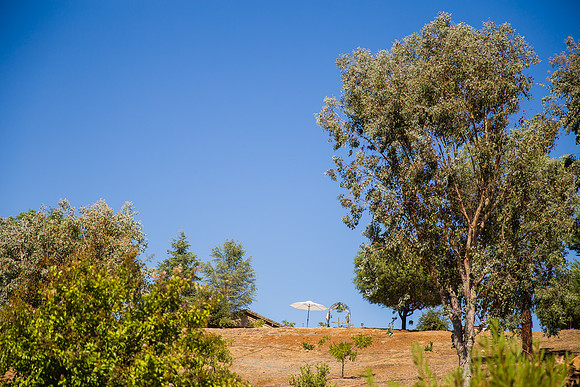 Temecula Wedding Photographer at Private Residence Wedding in La Cresta, Shae & Justin-7