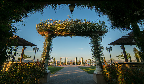 Mount Palomar Temecula Winery Wedding, Melissa and Chris Wedding by Temecula Wedding Photographer