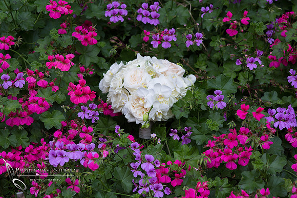 White roses bouquet at Pala Mesa Resort Fallbrook by Temecula Wedding Photographer