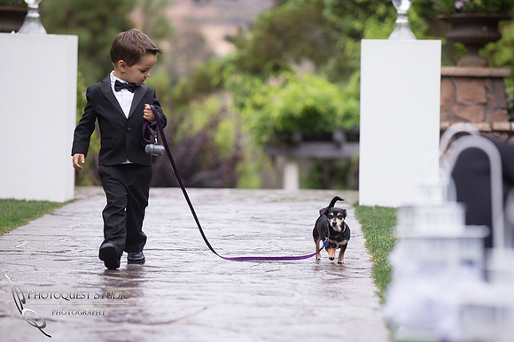 Wedding photo with kid and dog at Pala Mesa Resort Fallbrook by Temecula Wedding Photographer