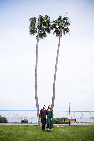 surprise proposal coronado island orange county san diego wedding photographer michelle tyler-166