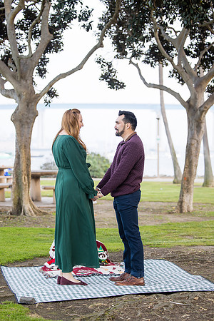 surprise proposal coronado island orange county san diego wedding photographer michelle tyler-15