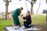 surprise proposal coronado island orange county san diego wedding photographer michelle tyler-19
