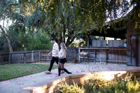orange county temecula wedding photographer surprise proposal kenna spencer-15