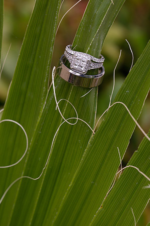 Wedding photos at the Orchard, Wedgewood Wedding in Menifee by Temecula Wedding Photographer of Photoquest Studio, Photography