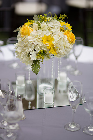 Wedding photos at the Orchard, Wedgewood Wedding in Menifee by Temecula Wedding Photographer of Photoquest Studio, Photography