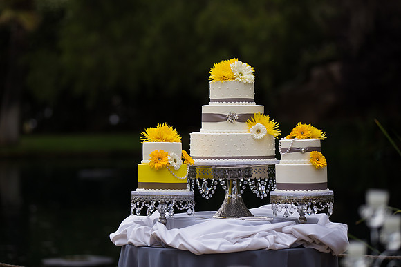 Wedding photos at the Orchard, Wedgewood Wedding in Menifee by Temecula Wedding Photographer of Photoquest Studio, Photography