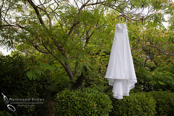 Wedding Dress at the Orchard, Wedgewood Wedding in Menifee by Temecula Wedding Photographer