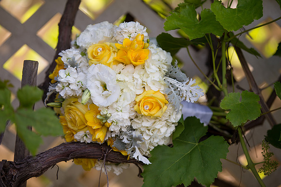 Wedding photos at the Orchard, Wedgewood Wedding in Menifee by Temecula Wedding Photographer of Photoquest Studio, Photography