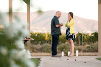 Surprise Proposal at Ponte Winery by Temecula Wedding Photographer