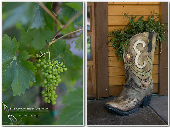 Longshadow Ranch Winery wedding by Wedding Photographer in Temecula of Photoquest Studio, Photography