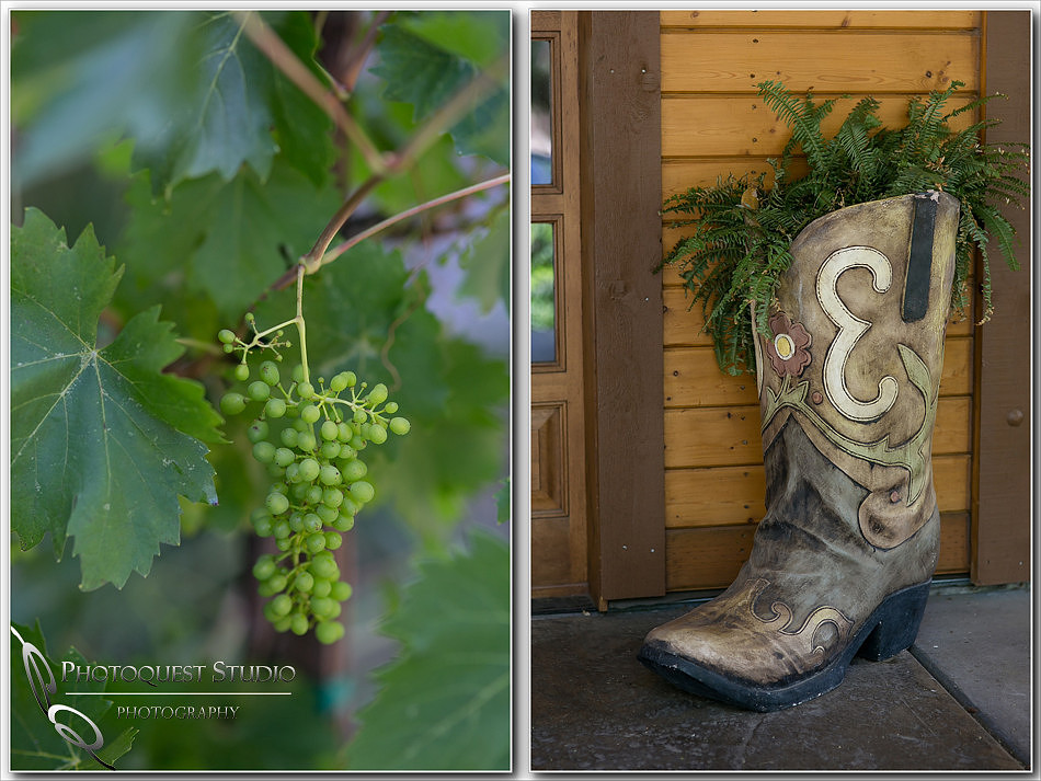 Longshadow Ranch Winery wedding by Wedding Photographer in Temecula of Photoquest Studio, Photography
