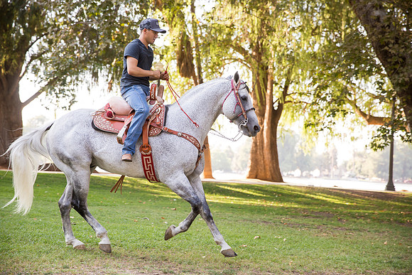 Wedding Photographer in Temecula, Engagement Photo with beautiful Couple and Horses in Riverside, California - Mayra and Juan