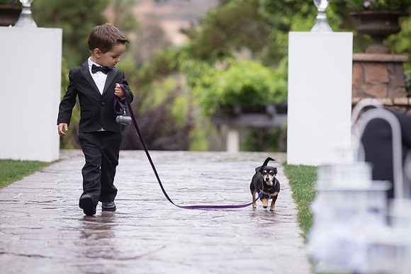 Wedding photo at Pala Mesa Resort, Fallbrook by Temecula Wedding Photographer (44)