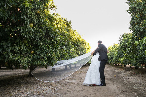 Beautiful wedding at Wiens Family Cellars Temecula Winery - Sarah & Shawn