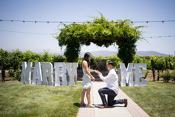 nina les orange county wedding photographer lorimar temecula winery surprise proposal-63