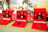 project vn foundation gala by orange county photographer-1