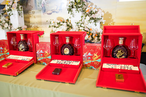 project vn foundation gala by orange county photographer-1