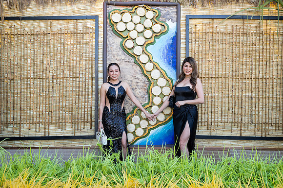 project vn foundation gala by orange county photographer-207