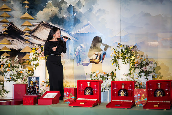 project vn foundation gala by orange county photographer-548