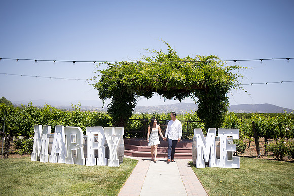 nina les orange county wedding photographer lorimar temecula winery surprise proposal-124