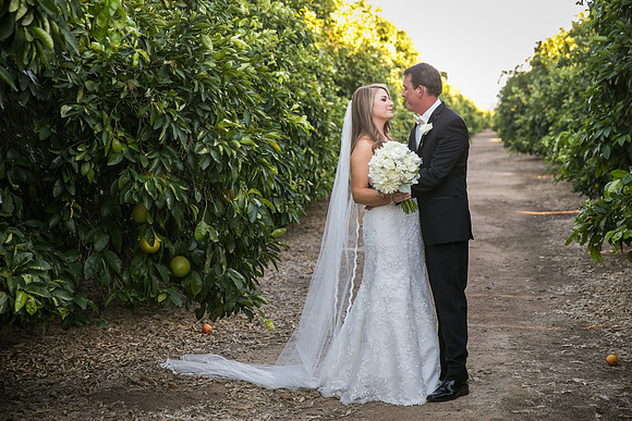 Beautiful wedding at Wiens Family Cellars Temecula Winery - Sarah & Shawn