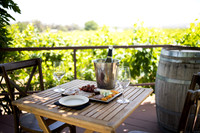 nina les orange county wedding photographer lorimar temecula winery surprise proposal-8