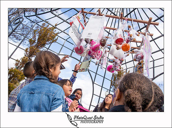 Lake Harveston Lakehouse Birthday Party by Temecula, Menifee, Murrieta Wedding Photographer - PhotoQuest Studio, Photography