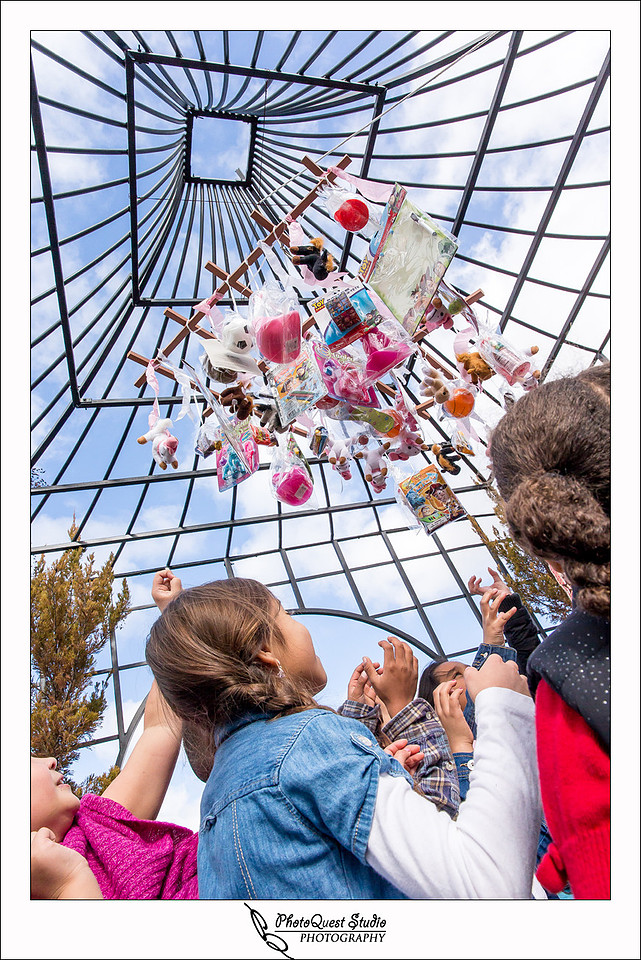 Lake Harveston Lakehouse Birthday Party by Temecula, Menifee, Murrieta Wedding Photographer - PhotoQuest Studio, Photography - kids looking up at pinatas
