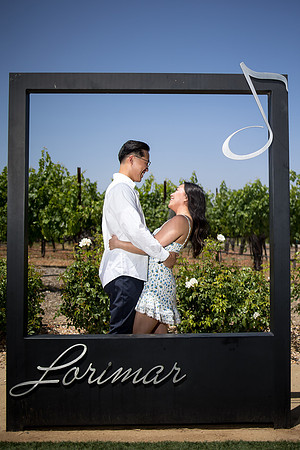 nina les orange county wedding photographer lorimar temecula winery surprise proposal-144