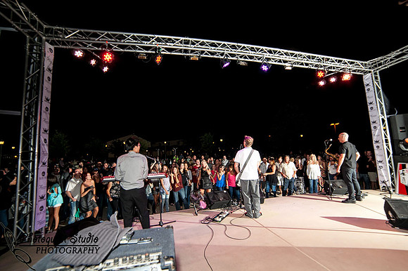 Temecula Wedding Photographer, Concert Photographer at Wiens Family Cellars Winery, The English Beat