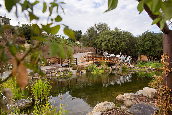 Wedding Photos at Serendipity Garden Weddings by Temecula Wedding Photographer - Sandra and Robert Wedding