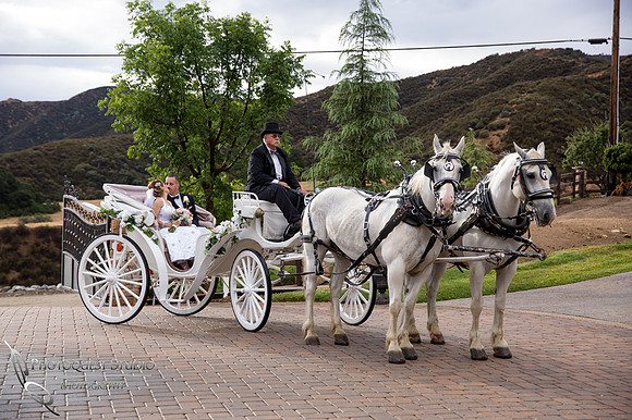 Wedding Photos at Serendipity Garden Weddings by Temecula Wedding Photographer - Sandra and Robert Wedding
