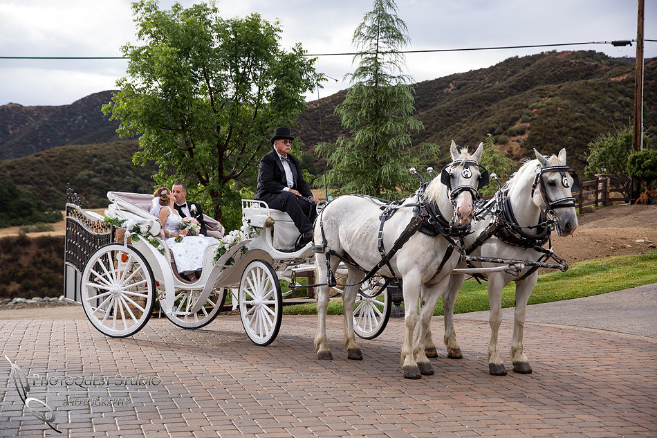 Wedding Photos at Serendipity Garden Weddings by Temecula Wedding Photographer - Sandra and Robert Wedding