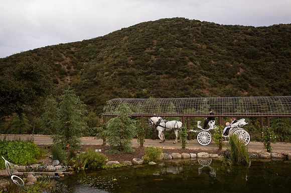 Wedding Photos at Serendipity Garden Weddings by Temecula Wedding Photographer - Sandra and Robert Wedding