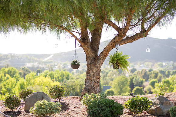 Temecula Wedding Photographer at Private Residence Wedding in La Cresta, Shae & Justin-139