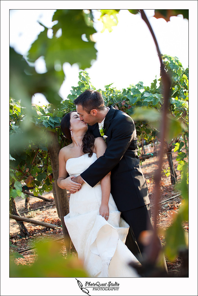 South Coast Winery Wedding Photography by Temecula, Menifee, Murrieta Wedding Photographer. kissing between the vine at south coast winery wedding