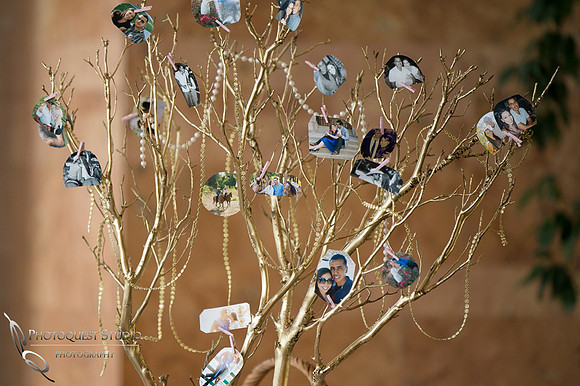 the memories tree