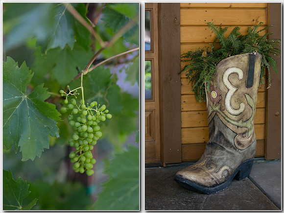 Longshadow Ranch Winery wedding  by Wedding Photographer in Temecula-2