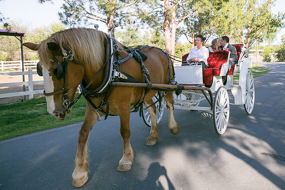 Longshadow Ranch Winery wedding  by Wedding Photographer in Temecula (389)