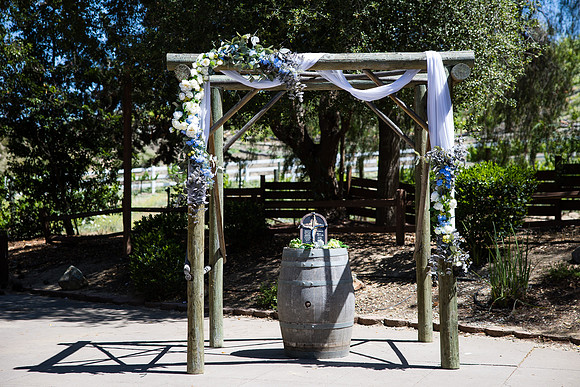 denielle and jackson wedding