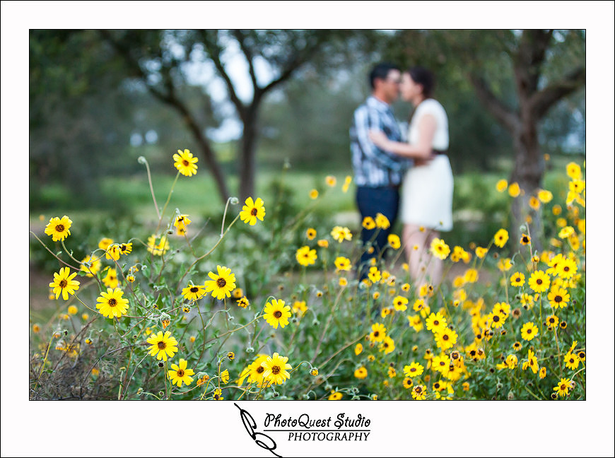 Romantic Temecula Old Town and Fallbrook Sunset Engagement Photo Session by Menifee, Temecula Wedding Photographer - Anna & Fernando in front of beautiful daisy