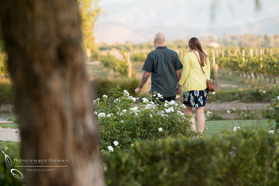 Surprise Proposal at Ponte Winery by Temecula Wedding Photographer