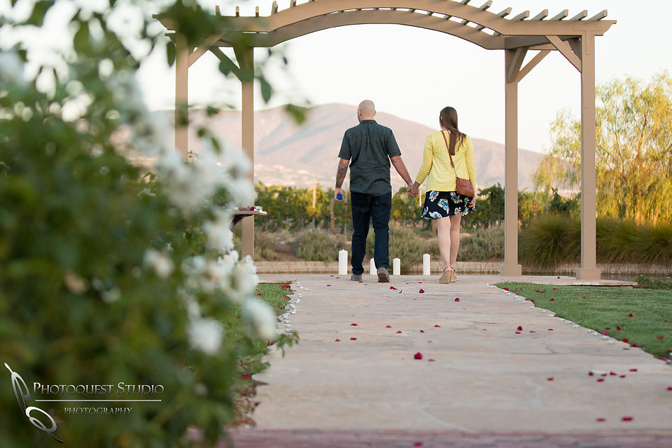 Surprise Proposal at Ponte Winery by Temecula Wedding Photographer