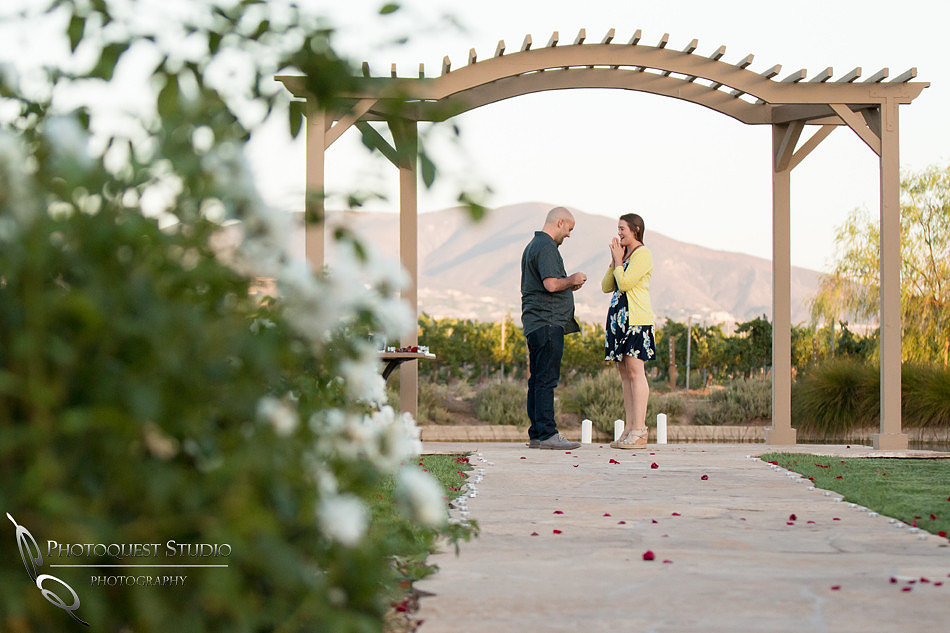 Surprise Proposal at Ponte Winery by Temecula Wedding Photographer