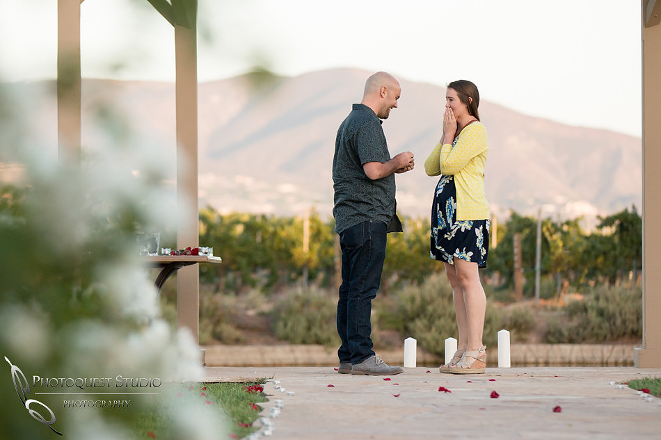 Surprise Proposal at Ponte Winery by Temecula Wedding Photographer