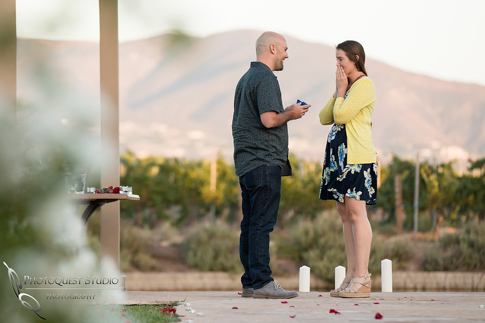 Surprise Proposal at Ponte Winery by Temecula Wedding Photographer
