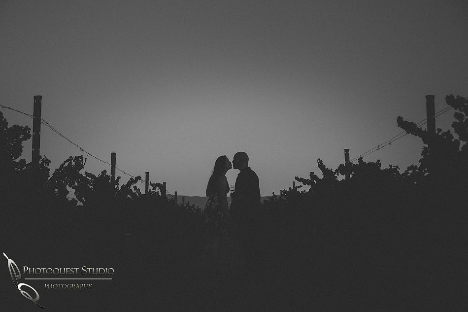 Surprise Proposal at Ponte Winery by Temecula Wedding Photographer