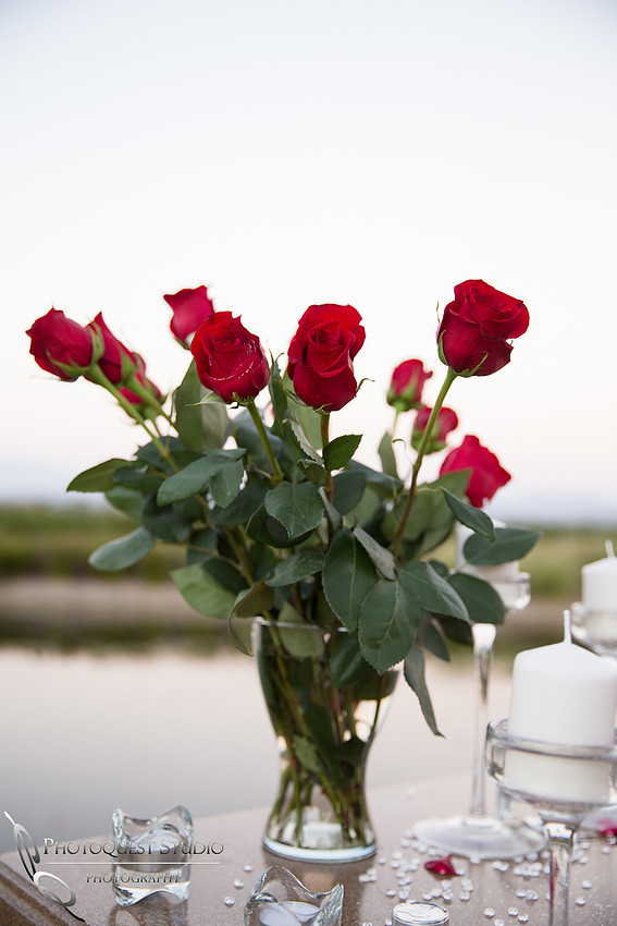 Surprise Proposal at Ponte Winery by Temecula Wedding Photographer