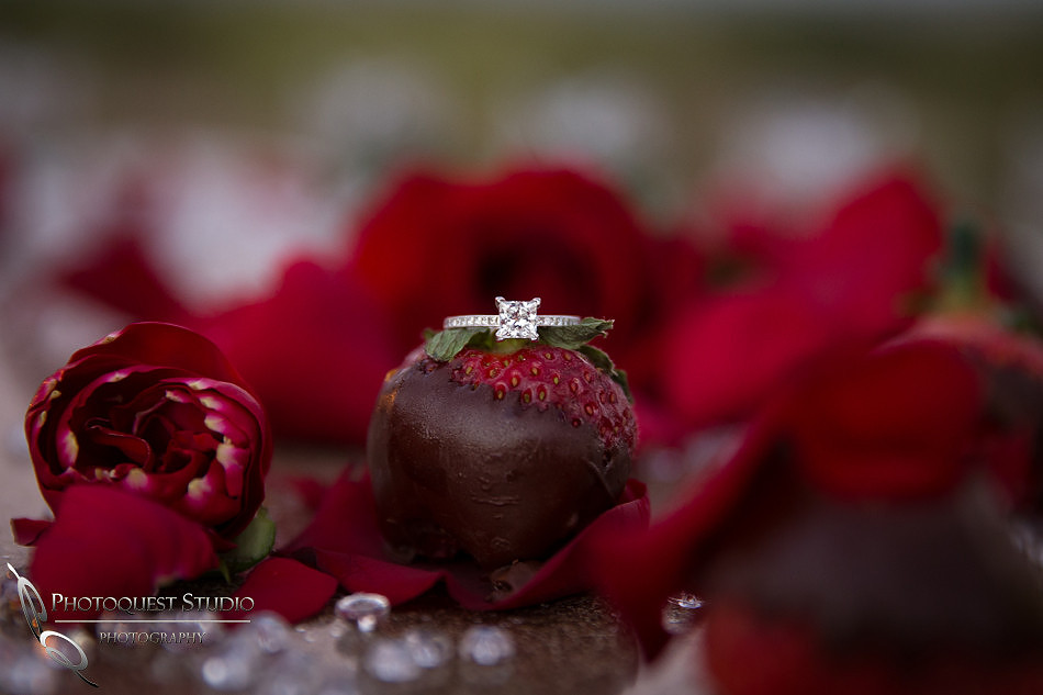 Surprise Proposal at Ponte Winery by Temecula Wedding Photographer
